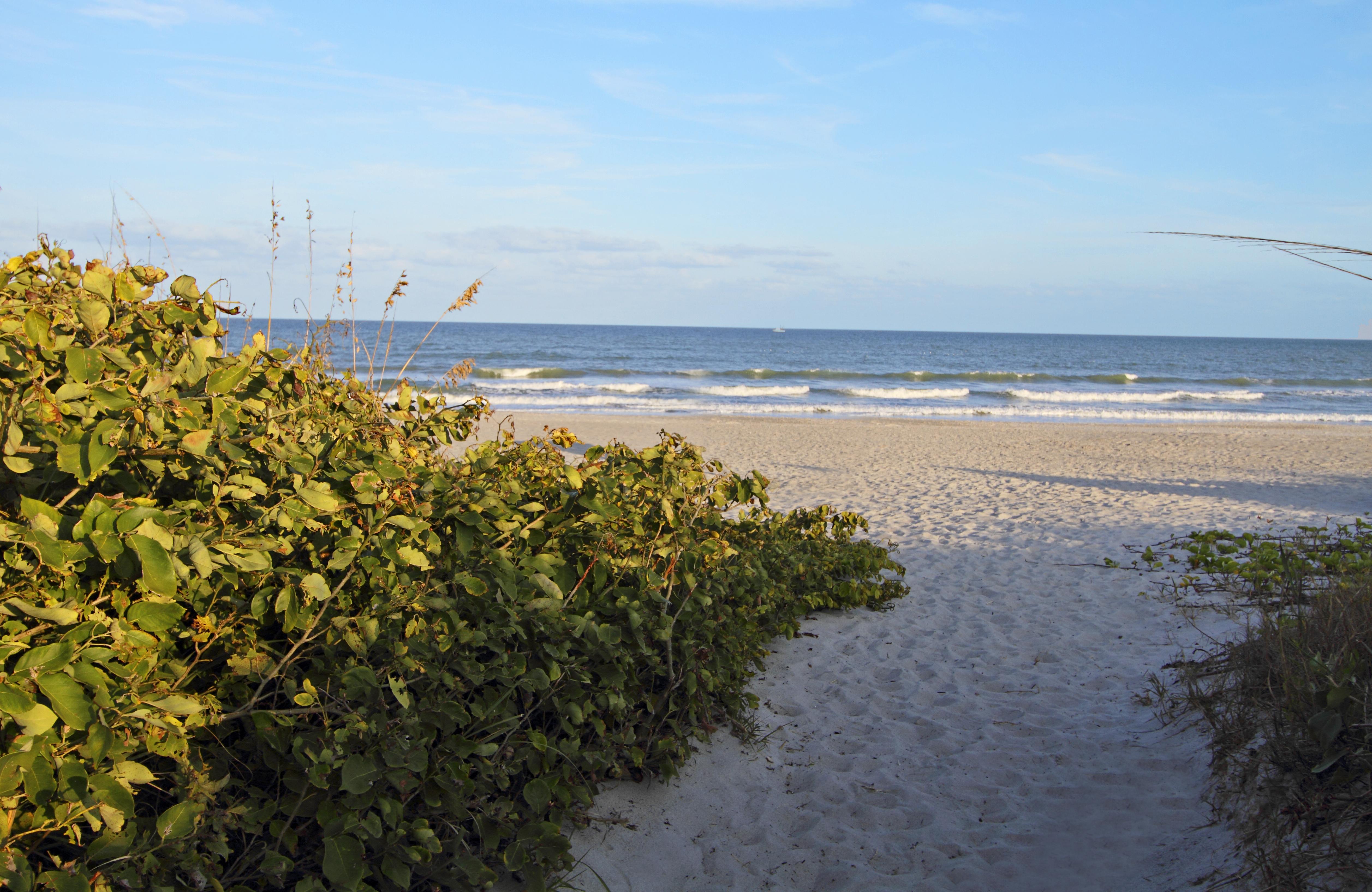 Courtyard By Marriott Cocoa Beach Cape Canaveral Exterior photo